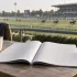 Sport de Combat 5 Lettres 🥋 : Solutions des mots croisés